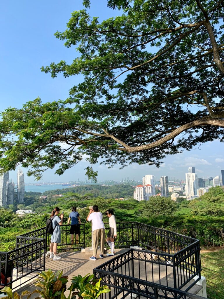 Sky-High Aspirations: Singapore’s Soaring Real Estate Landscape