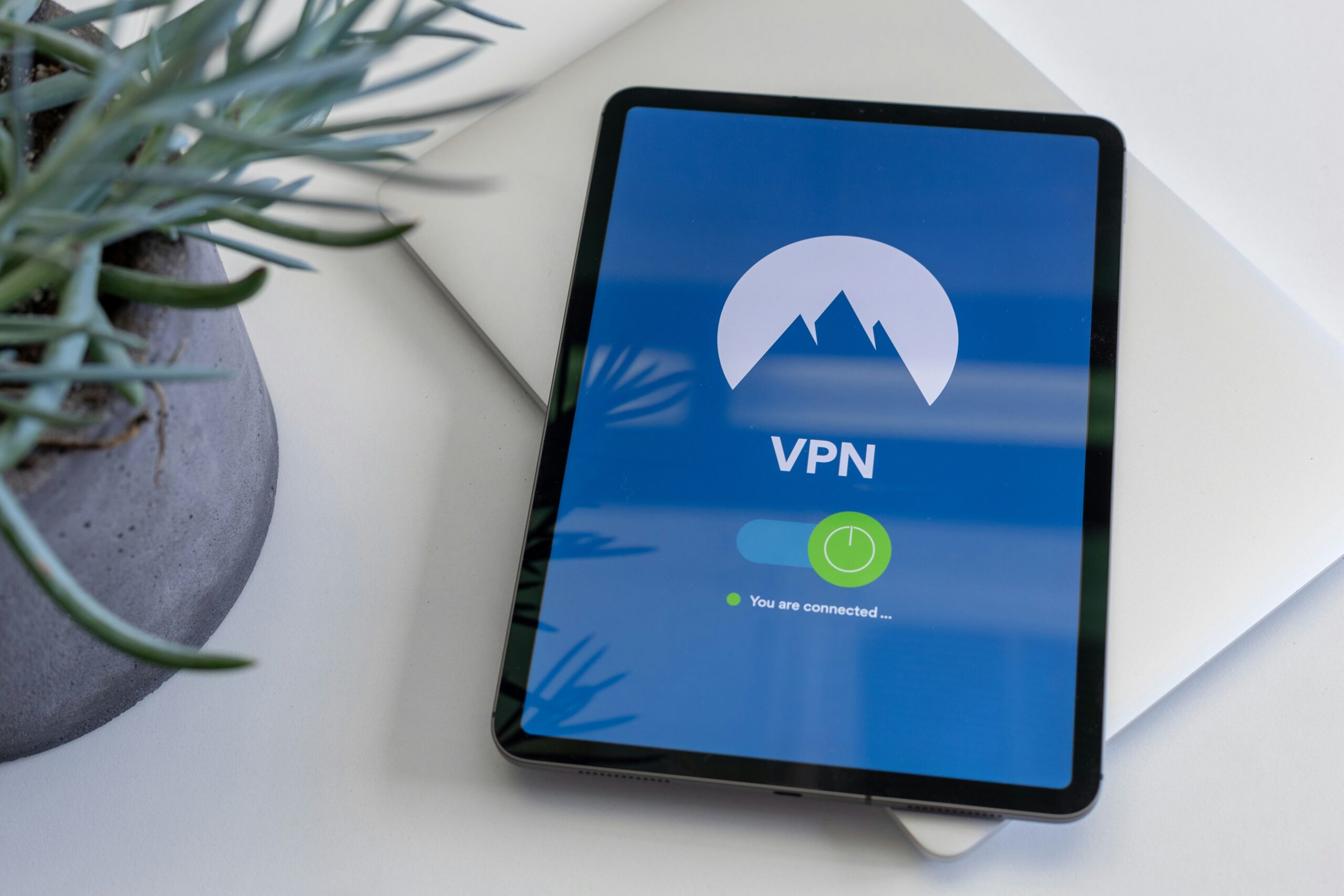 Privacy in the Digital Age: The Role of VPNs in Protecting Your Data